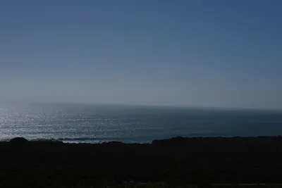 DSC_6895 (Large).JPG